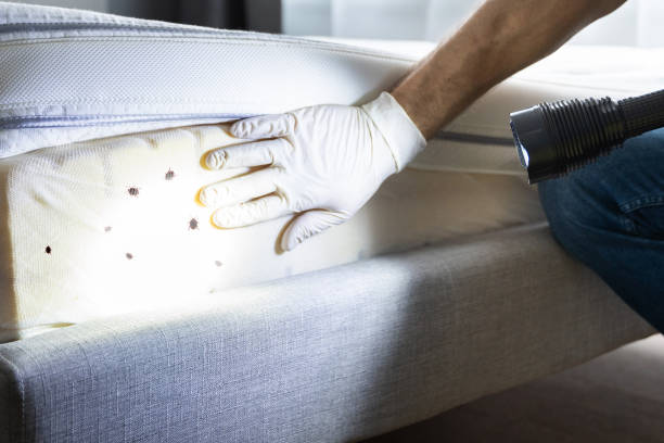 Best Affordable Pest Control Services  in Manchester, GA