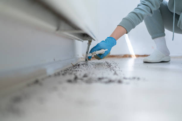 Best Flea Control Services  in Manchester, GA